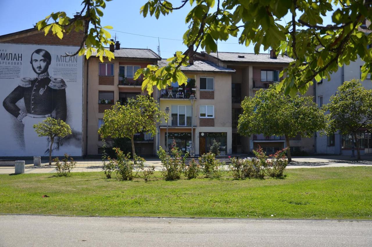 Apartman Terassa Donji Milanovac Luaran gambar
