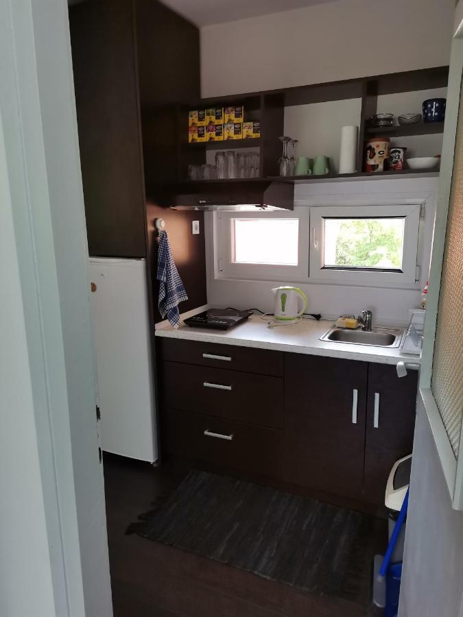 Apartman Terassa Donji Milanovac Luaran gambar