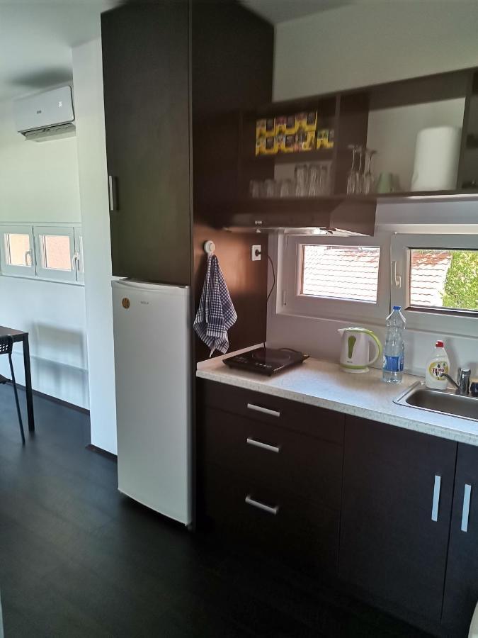Apartman Terassa Donji Milanovac Luaran gambar