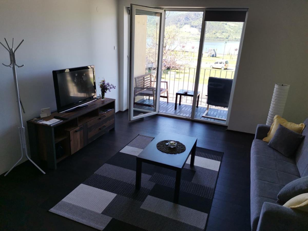 Apartman Terassa Donji Milanovac Luaran gambar