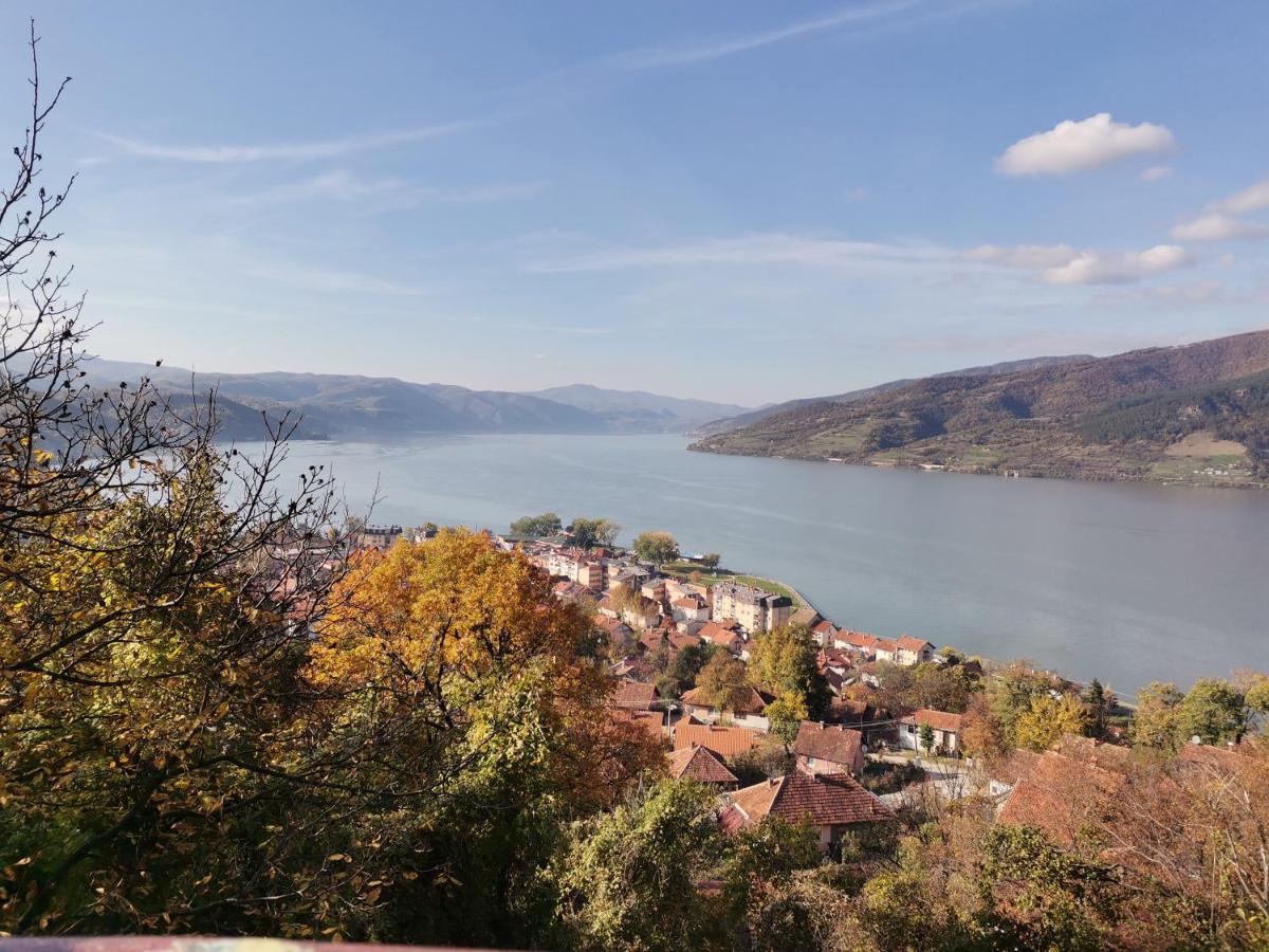 Apartman Terassa Donji Milanovac Luaran gambar