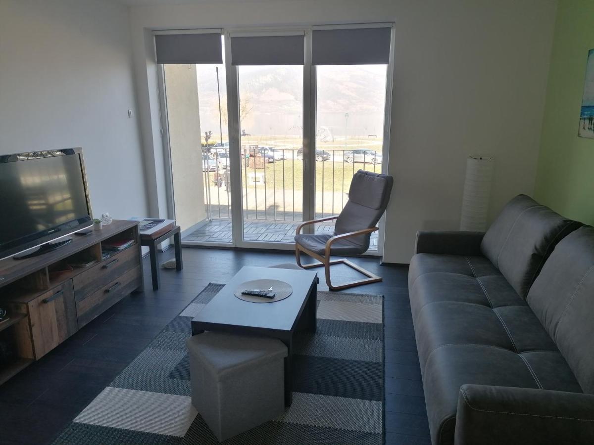 Apartman Terassa Donji Milanovac Luaran gambar